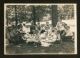 July 24 1913 picnic