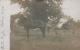 Bagley, Curtis and Sophia Hedges.jpg Bagley, Curtis and Sophia Hedges.jpg